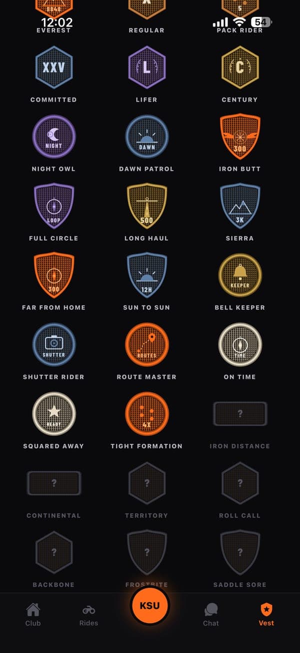 Patch grid: the earned ones in color, the locked ones greyed out