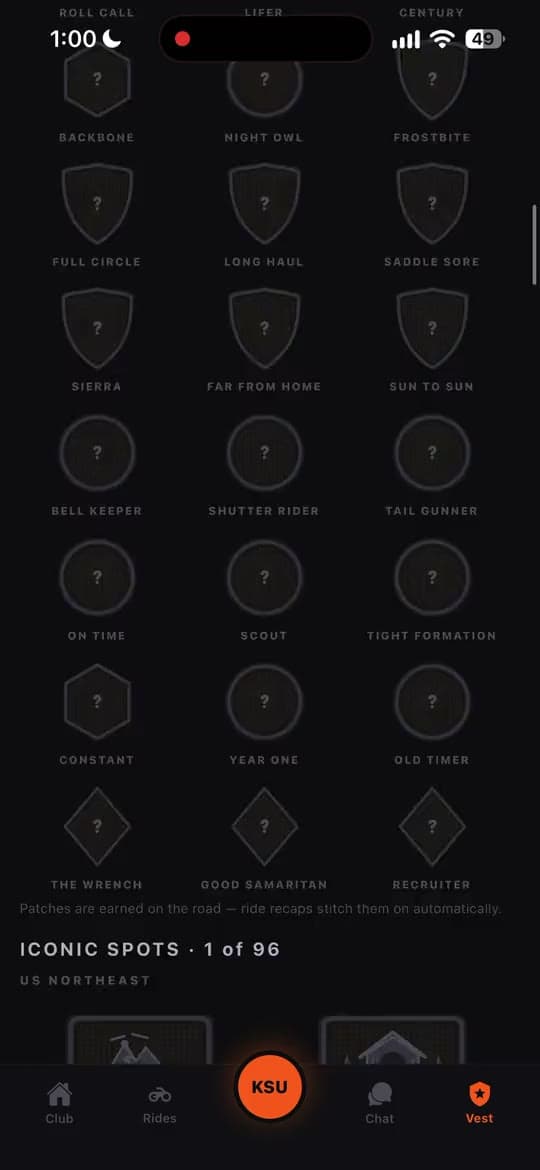 Patch grid: the earned ones in color, the locked ones greyed out
